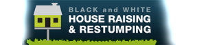 Black & White house raising Logo